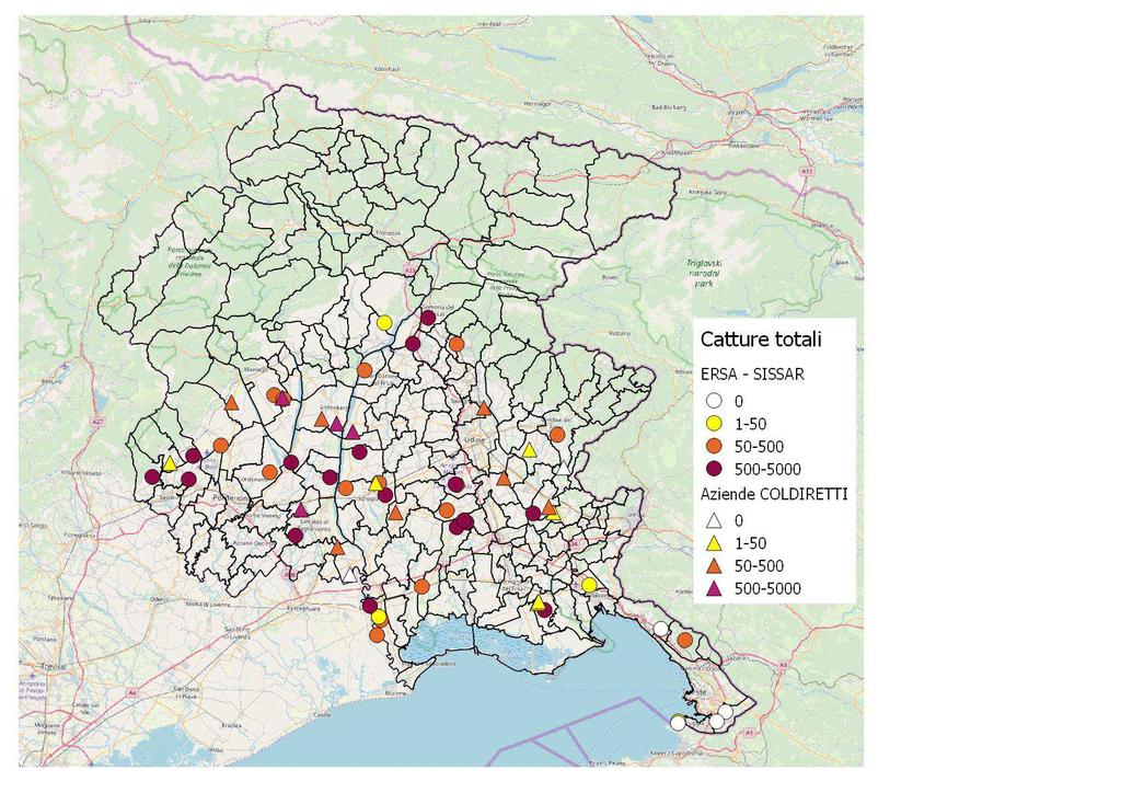 Risultati del monitoraggio Catture cumulate da inizio stagione rilevate in trappole Rescue Le trappole sono