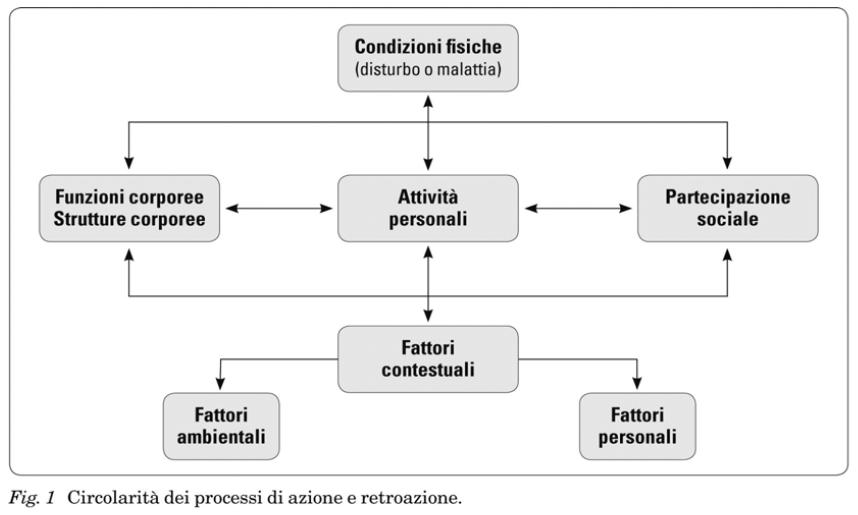 MODELLO ICF GLI AMBITI DI FUNZIONAMENTO UMANO - L alunno che viene conosciuto e compreso, nella complessità dei suoi bisogni, attraverso il