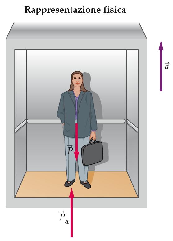 Il peso è una forza, dunque un vettore con unità Newton La massa quantifica l'inerzia ed è uno scalare, con unità kg Una persona