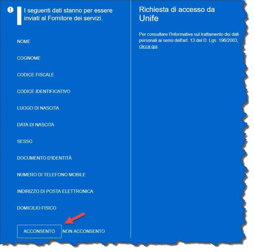 Concesse le dovute autorizzazioni, il sistema chiederà di accettare i