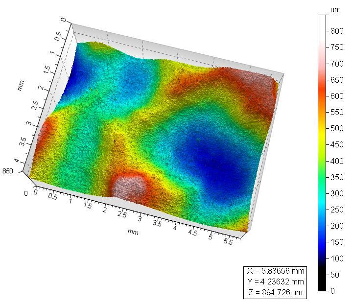 Figura 1: immagini 3D, a scala di colori in m, di aree acquisite