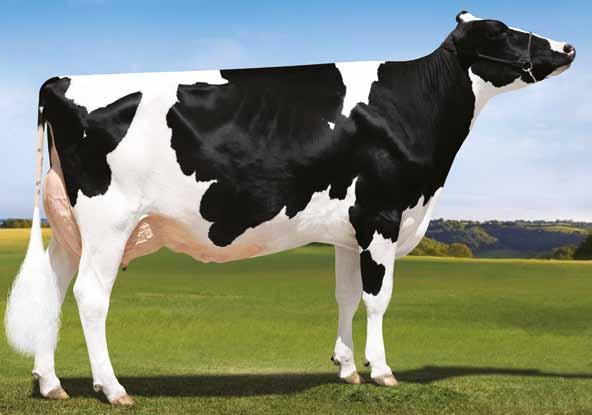 Solomon x (EX 94) Atwood x (EX 93) Shottle x (EX 93 GMD) Outside x (EX 92 GMD DOM) Convincer x (EX 92 GMD DOM) Emory SOLOMON X ATWOOD X SHOTTLE X OUTSIDE DOORMAN Our-Favorite Unlimited Our-Favorite