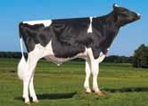 DIAMONDBACK-RC X ATWOOD X SHOTTLE X OUTSIDE DOORMAN x TALENT-RC Unrivaled-RC US003146864318 OUR-FAVORITE UNRIVALED RC TP TC TV TL TY TD nato 15/08/2017 Diamonback-RC x (EX 94) Atwood x (EX 93)