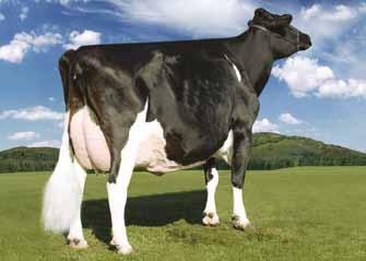 Delight US0003129040531 CAR-J BROKASA DELIGHT TR TP TV TL TY nato 18/12/2015 Defiant x (EX 92) Atwood x (VG 87 GMD) Mac x (EX 92 GMD DOM) Durham x (EX 92 GMD) Juror Brina TOP 20 A TIPO E TOP 25 A