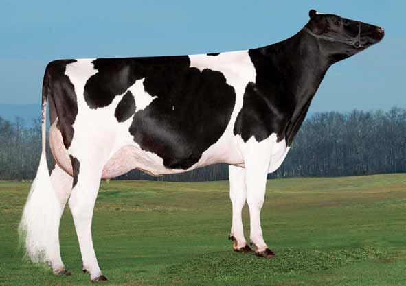 Basic US003141657524 BLUMENFELD FRAZLD BASIC-ET TR TP TC TV TL TY TD nato 10/04/2017 Frazzled x (VG 87) Spring x (VG 85) Headliner x (VG 85) Domain x (VG 85) Mac x (VG 89 DOM) Goldwyn x (EX 90 DOM)