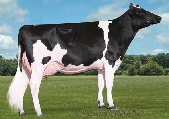 JEDI X TANGO X FACEBOOK X MAC MONTROSS x SUPERSIRE Parison US003132662986 SIEMERS JEDI PARISON-ET TR TP TC TY TV TL TD nato 27/01/2016 Jedi x (VG 86) Tango x (VG 87 DOM) Facebook x (VG 87) Mac x (VG