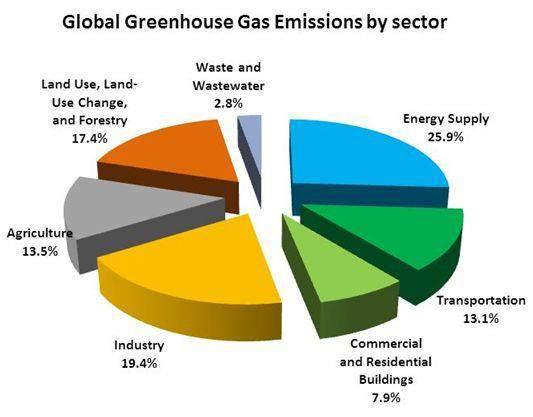 quali settori contribuiscono alle emissioni di CO 2eq?