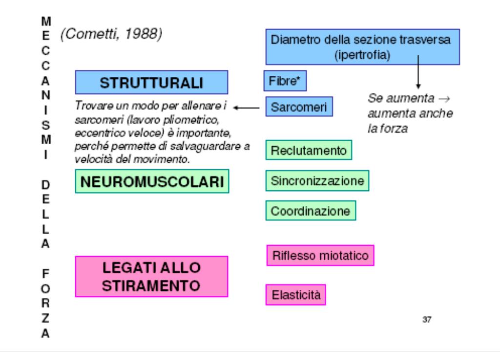 MECCANISMI