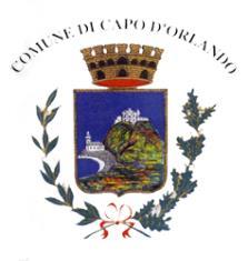 Comune di CAPO D ORLANDO Città Metropolitana di MESSINA (Area Socio - Assistenziale) REGOLAMENTO PER IL PAGAMENTO DELL INTEGRAZIONE