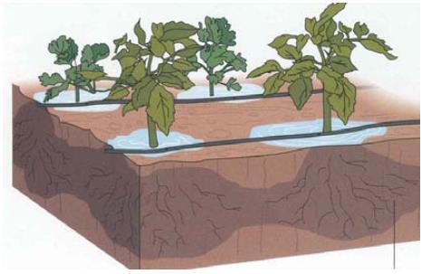 dalle proprietà idrologiche del terreno,