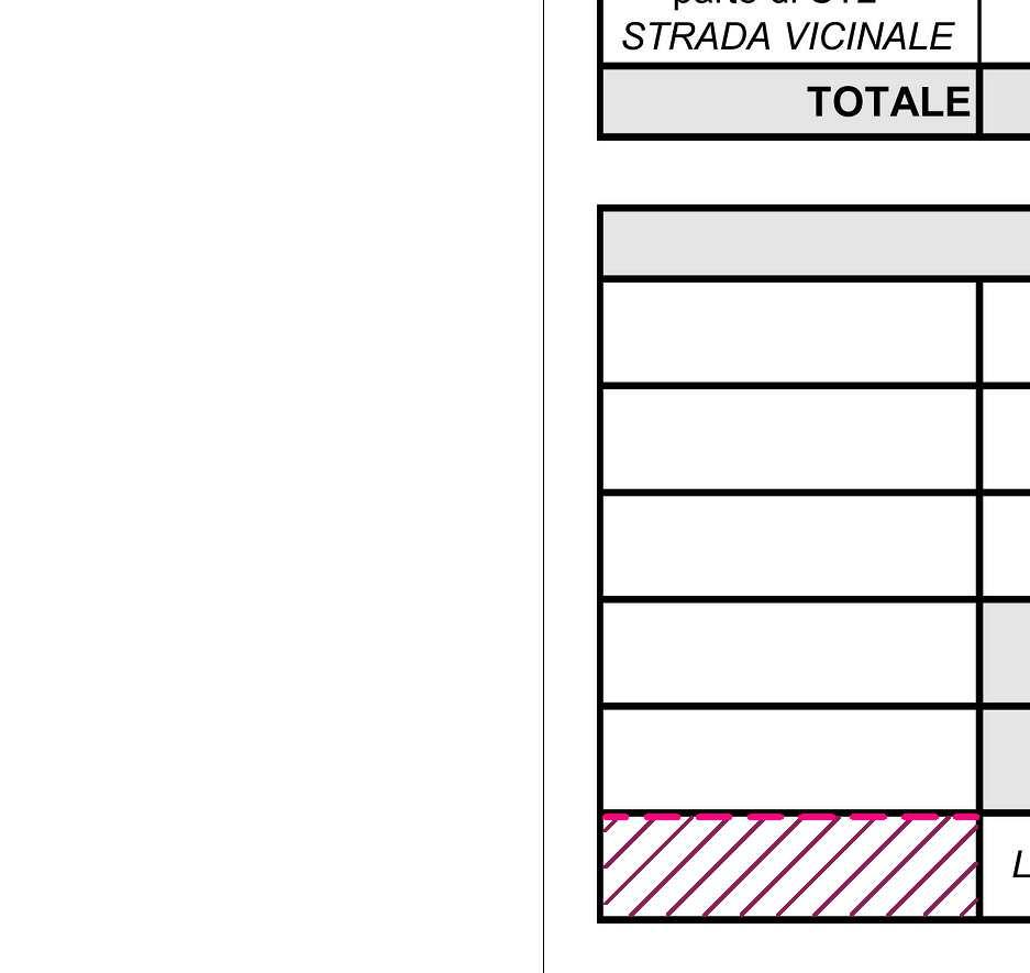 386 NCT Comune di Vr - Foglio 251-386, 335