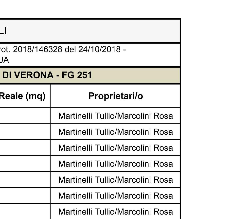 lato nord NCT Comune di Vr - Foglio 243 -