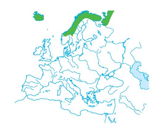 Il clima artico Il clima artico rende molto difficile l insediamento umano.