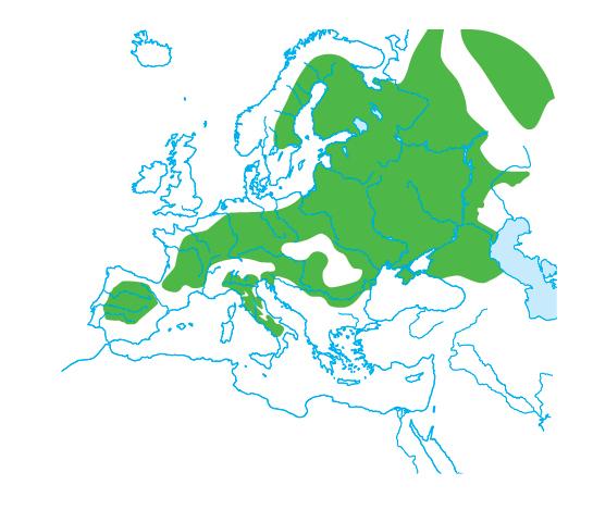 1 Il clima continentale Il clima continentale è caratterizzato da inverni freddi e umidi, e da estati calde e afose.