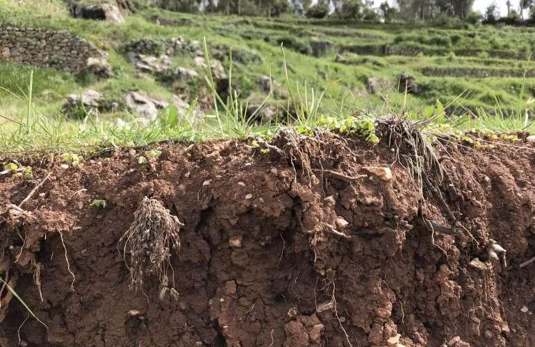 Suolo IMPATTI DELL ATTIVITÀ ANTROPICA -