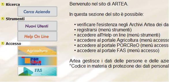 1. ACCESSO AL SISTEMA Le domande di pagamento (rendicontazione) devono essere redatte on line sul sito