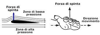 una diminuzione della pressione o un cambiamento nell'energia potenziale del fluido, non