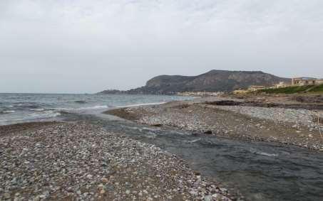 WWF SICILIA NORD-OCCIDENTALE PROGETTO: PASSEGGIATE LE VIE DEI TESORI - 2016 1 - Birdwatching al limite orientale della Conca d Oro L AVIFAUNA ALLA FOCE DEL FIUME ELEUTERIO LA CONCA D ORO DI PALERMO: