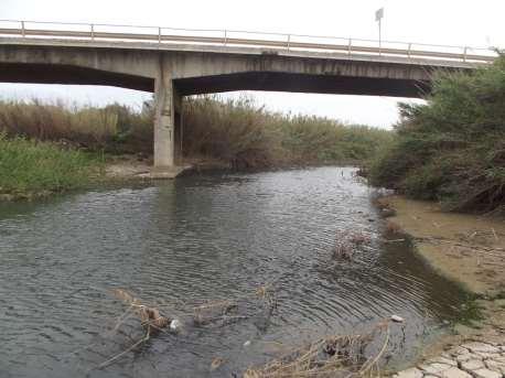 Il fiume si allarga nel suo ultimo tratto prima della foce.