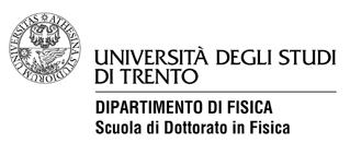 MANIFESTO DEGLI STUDI A.A. 2012/2013 DOTTORATO IN FISICA