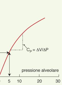 polmone isolato