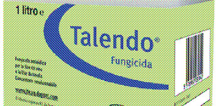 Monitoraggio residui di proquinazid (Talendo) su uva da tavola a differente tecnica di forzatura Estate 2007 Monitoraggio DuPont residui Talendo su uva da tavola giorni dopo l'utimo trattamento con