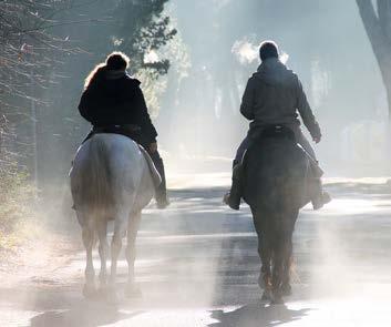 Il Cosmo PONY GAMES PER BAMBINI (4-12 ANNI) Ogni sabato Ore 9,00 Rosignano Marittimo 10 Centro Equestre