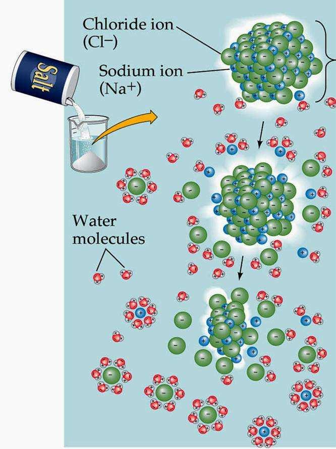 CAPACITA SOLVENTE DELL ACQUA LIQUIDA Molti solidi ionici sono solubili in acqua grazie alle interazioni