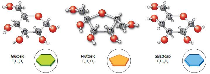 4. I monosaccaridi o zuccheri semplici I monosaccaridi sono molecole polari di formula C n H 2n O n ; il loro scheletro carbonioso contiene da 3 a 7 atomi