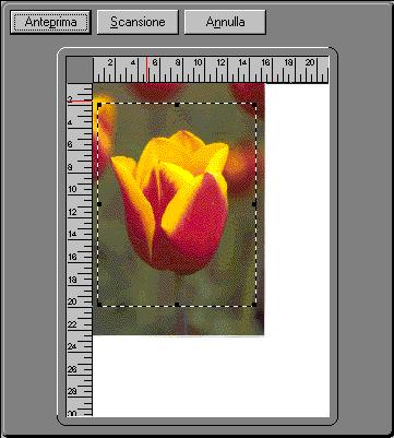 capitolo 4 Scansione di un originale 5. Lasciare il tasto del mouse. L area verrà racchiusa in un rettangolo. 6.