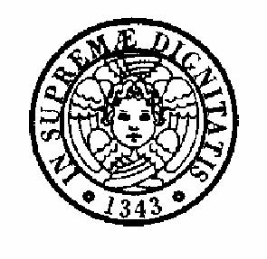 U N I V E R S I T À D I P I S A DIPARTIMENTO DI INGEGNERIA CIVILE via Gabba, 22-56122 Pisa - tel.+39.(0)50.2217700- fax +39(0)50.2217730 E-mail: dic@ing.unipi.