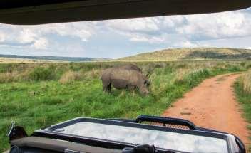 6 GIORNO SABATO 02/11 Prima colazione nel lodge. Di primo mattino safari del Parco Kruger a bordo di fuoristrada alla ricerca dei famosi Big Five: leone, bufalo, elefante, leopardo e rinoceronte.