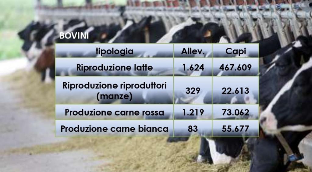 ); 120 impianti di trasformazione di latte con produzione di circa 2.300.