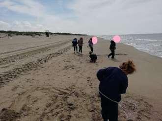 sul litorale vicino Ostia, dove hanno contribuito a rendere la natura