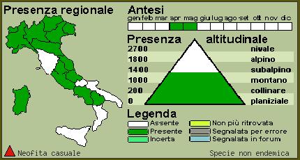 IPPOCASTANO TIPO: angiosperma NOME SCIENTIFICO: Aesculus hippocastanum NOME COMUNE: Ippocastano o Castagno d India FAMIGLIA: Sapindaceae ORIGINE: naturalizzata DISTRIBUZIONE E AMBIENTI: Originario