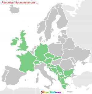 In Italia è diffusa in tutte le regioni, soprattutto in quelle centro-settentrionali, dalla pianura fino a 1200 metri di altitudine. DESCRIZIONE: a) Portamento (Fig.