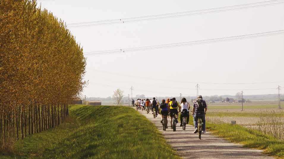 Partendo da Torre Abate, si percorrerà la via ciclabile Canal Bianco fino a Mesola, dove si trova il Castello,