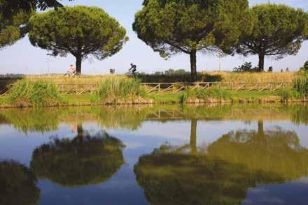 Accompagnati dalle nostre guide ambientali visiteremo la vecchia salina di Comacchio.