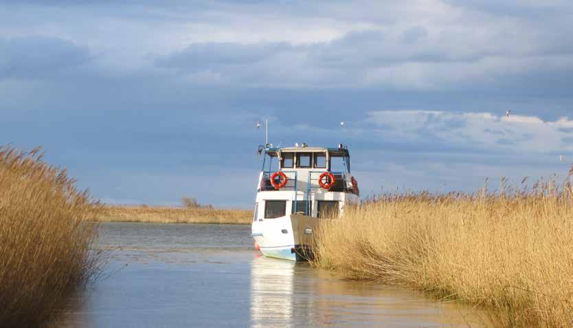 L itinerario vi permetterà di ammirare ampi bacini fluviali, lagune, scanni e vasti canneti.