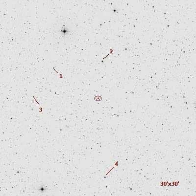 APPENDICE INFORMAZIONI SUI PIANETI IN TRANSITO MAPPE FOTOGRAFICHE DEI RELATIVI CAMPI STELLARI CARATTERISTICHE DEL PIANETA EXTRASOLARE TrES-2 Caratteristiche della stella: Nome stella TrES-2 Distanza