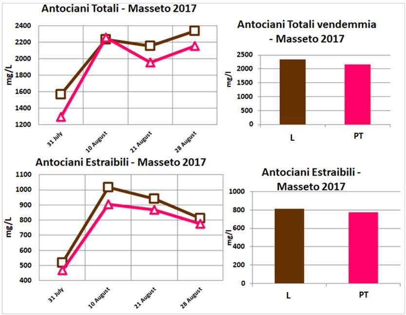 Masseto Nel caso del vigneto Masseto, nell analisi sia del contenuto in antociani che del contenuto