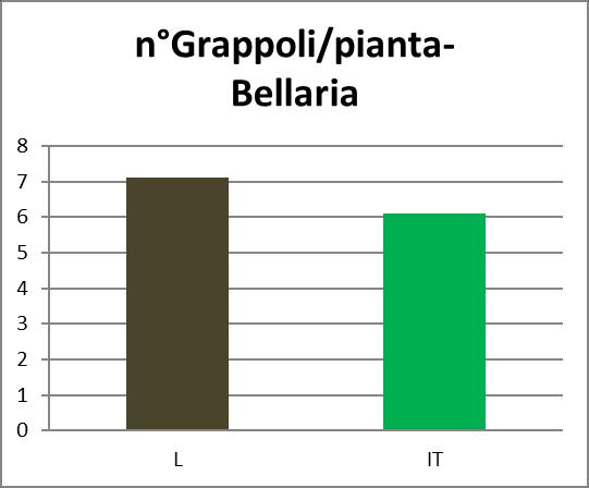 1: Grappoli per pianta, Bellaria 2017 Nel vigneto Bellaria si riscontra una produzione tendenzialmente maggiore nel caso