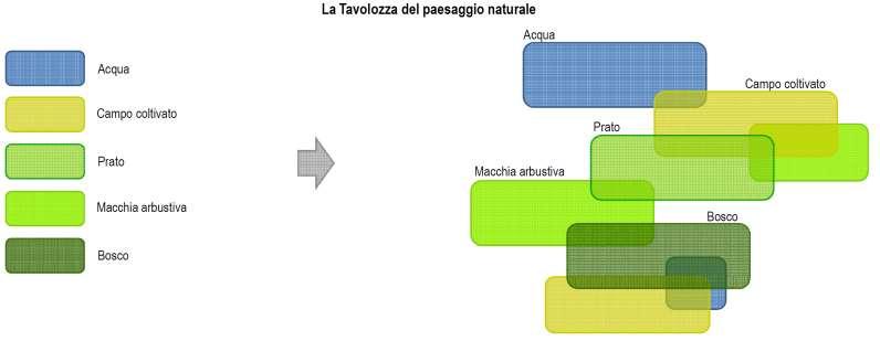 Il concetto portante del progetto La rinaturalizzazione dell area Il concept di base prevede che, analizzati gli elementi costitutivi di questo specifico paesaggio, si possa con