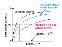 Un farmaco ha spesso come bersaglio un enzima o un recettore IC 50