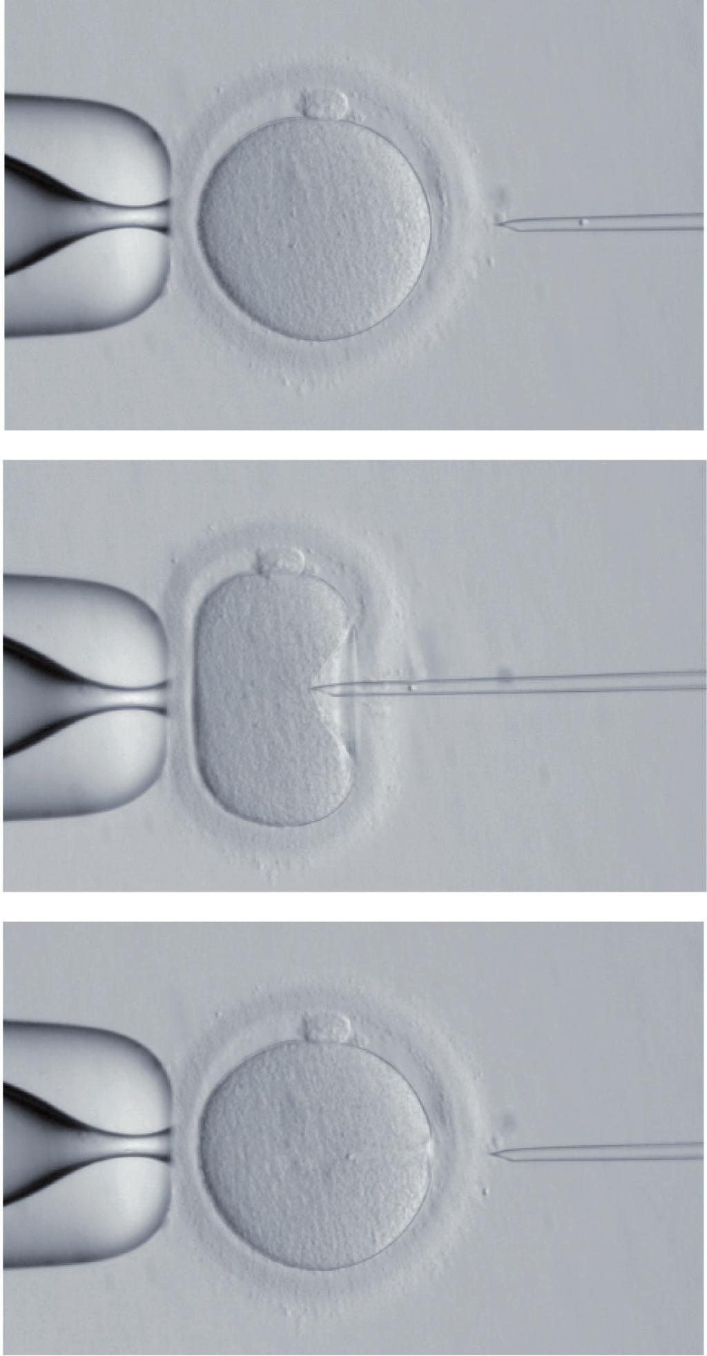 Fig. 4 - Passaggi