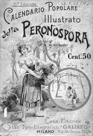 La peronospora (Plasmopara viticola) casualità, osservazioni, sperimentazione: dalla protezione dai ladri a quella dai funghi 1881 - Prime osservazioni in Italia sul rapporto che