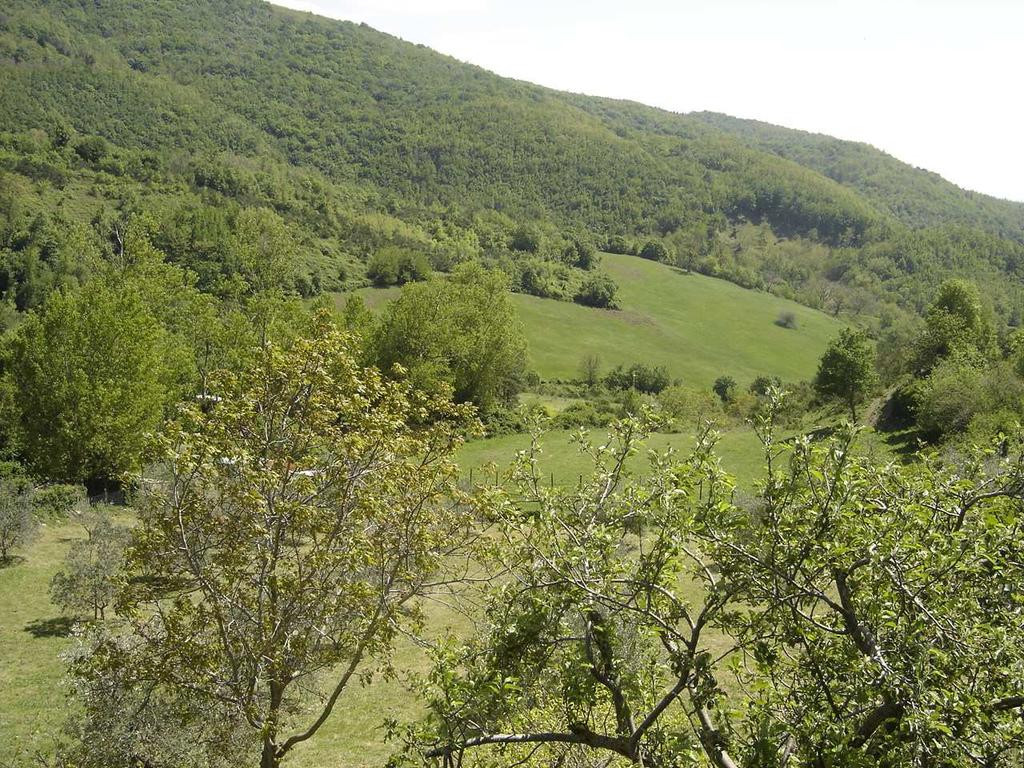 rilievi in adiacenza alla strada provinciale che circonda il