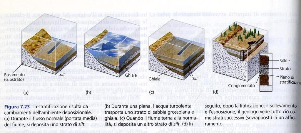 Chiaro se gli strati contigui sono diversi.