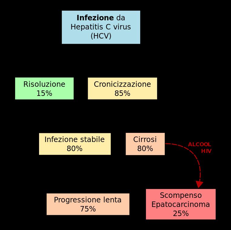 HCV - PATOGENESI HCV presenta una patogenesi simile a quella di HBV, sebbene HCV causi una infezione cronica in oltre 80% dei casi.