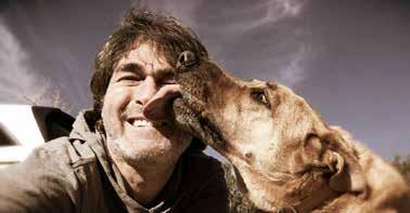 Stando a quanto scoperto dai team di etologi, psicologi e comportamentalisti delle università di Lincoln e San Paolo, i cani sono le uniche creature in grado di riconoscere le emozioni umane,